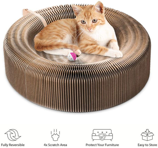 Pet Cat Scratcher Lounge Bed - Premium  - Just $108! Shop now at Animal Bargain