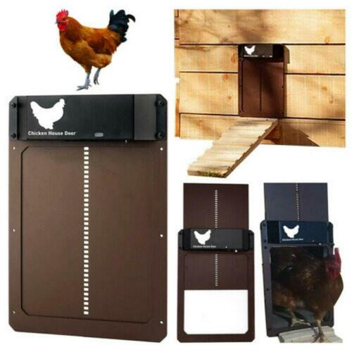 Poultry Farm Automatic Chicken House Door - Premium  - Just $337.50! Shop now at Animal Bargain