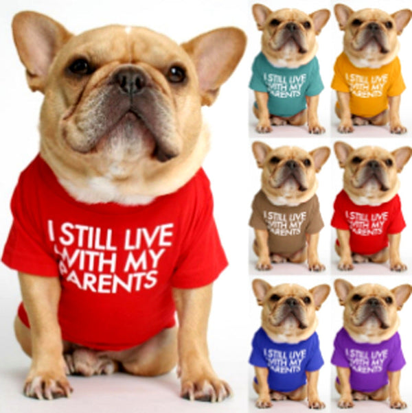 French Dou Pullover Round Neck T-Shirt Bichon Japanese And Korean Pet Clothes Teddy Small And Medium Dog Pug Yingdou Clothing - Premium  - Just $20.25! Shop now at Animal Bargain