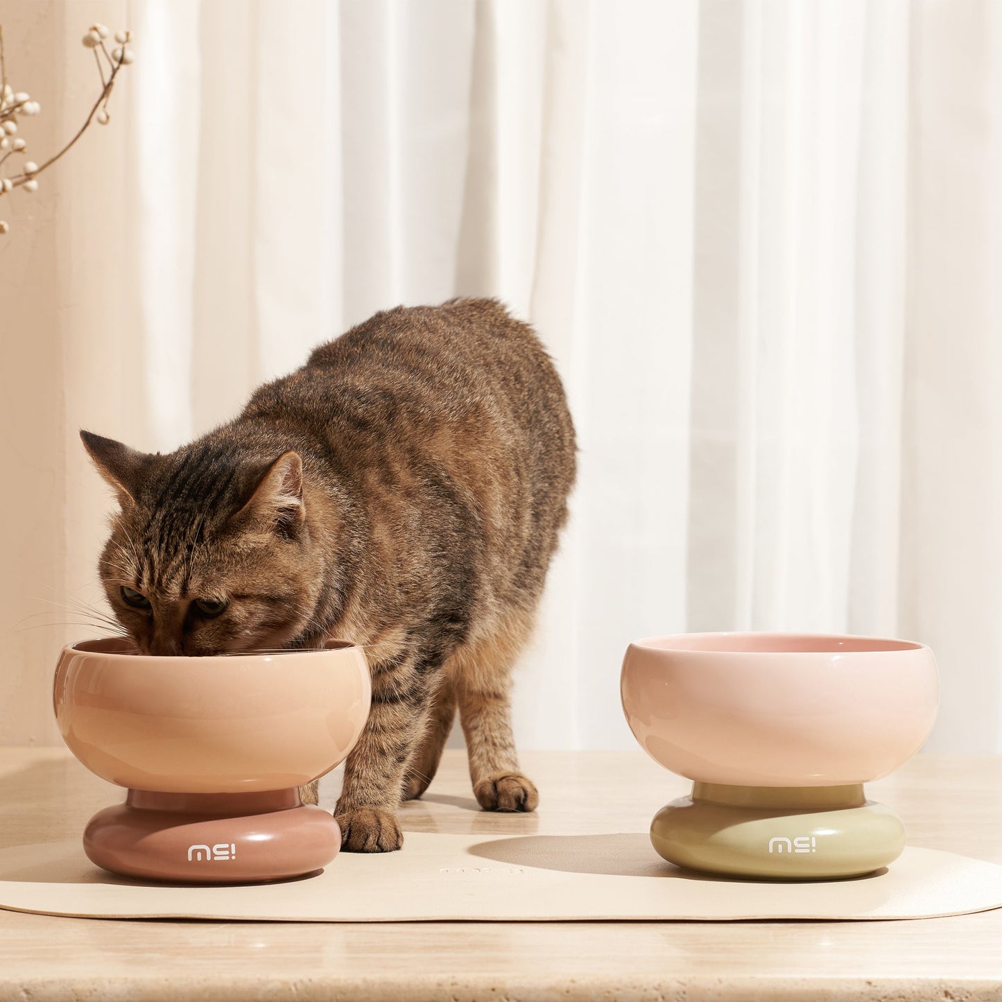 2023NEW- makesure CALORIE Cat Bowl - Gain More Power - Premium all pets - Just $47.94! Shop now at Animal Bargain