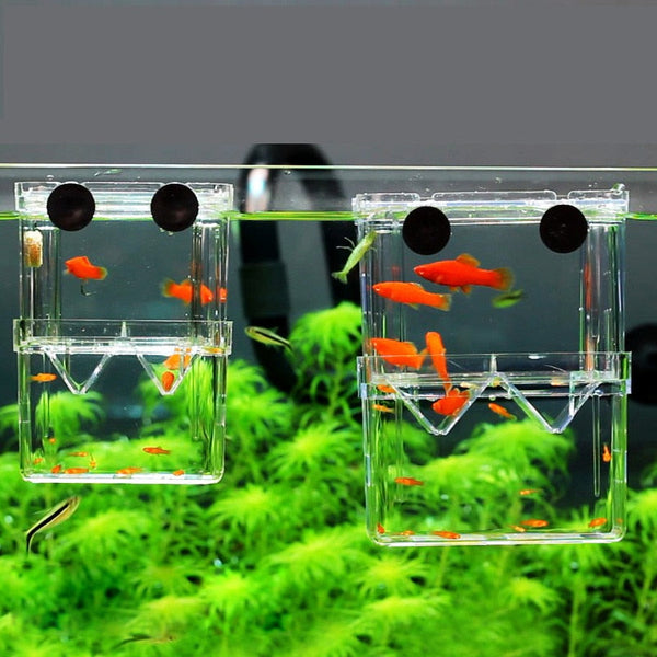 8*7*11cm Double-Deck Clear Fish Breeding Isolation Box Aquarium Breeder Fish Tank Hatching Incubator Fish House Home - Premium all pets - Just $29.70! Shop now at Animal Bargain