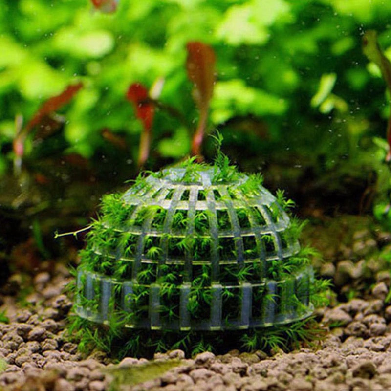Aquarium Moss Ball Filter Plastic Aquatic Pet Supplies Decorations For Java Shrimps Fish Tank Pet Products Fish Tank Decor - Premium Fish - Just $31.05! Shop now at Animal Bargain