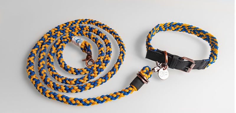 BetterLeash - 100% Fairtrade Recycled Ocean Bound Plastic Dog Leash - Premium all pets - Just $73.06! Shop now at Animal Bargain