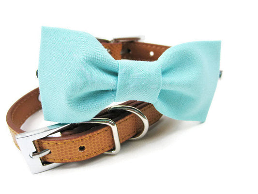 Bowtie Collar | Beachy - Premium all pets - Just $26.65! Shop now at Animal Bargain