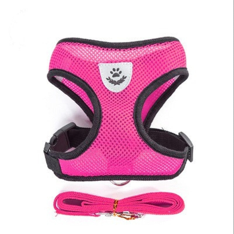 Cat Dog Harness with Lead Leash Adjustable Vest Polyester Mesh Breathable Harnesses Reflective sti for Small Dog Cat accessories - Premium all pets - Just $29.70! Shop now at Animal Bargain
