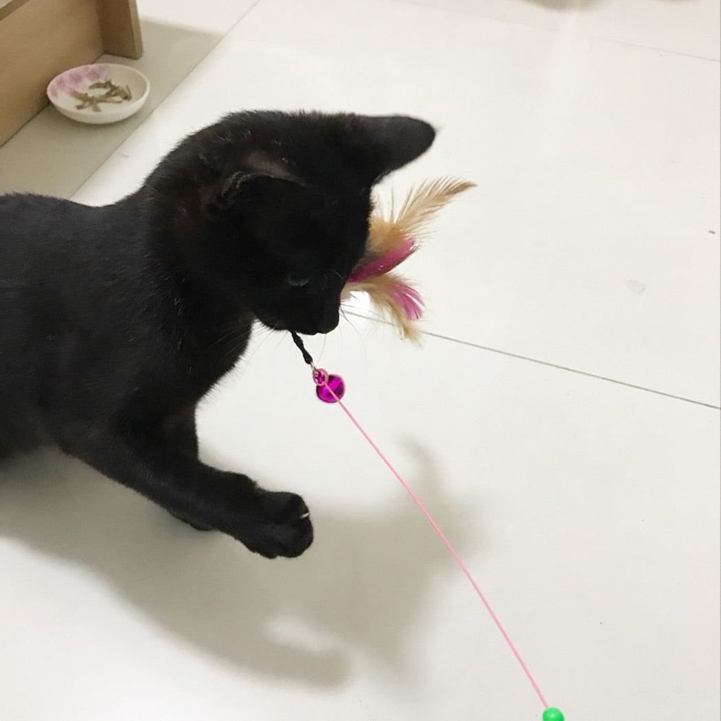Cat Interactive Toy Stick Feather Wand With Small Bell Mouse Cage Toys Plastic Artificial Colorful Cat Teaser Toy Pet Supplies - Premium Pet Toys - Just $25.65! Shop now at Animal Bargain