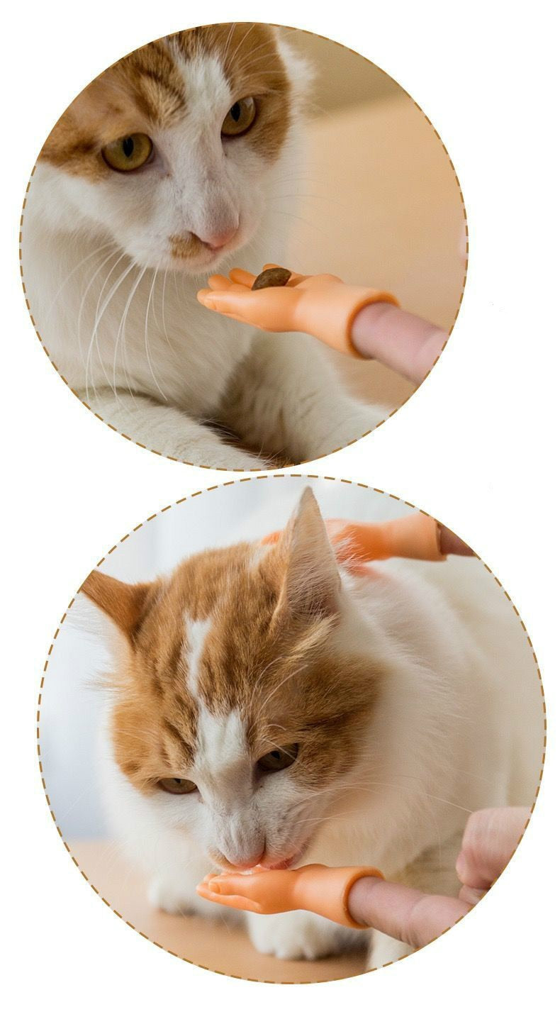 Cat Toy Funny Interactive Pet Toys Kitten Puzzle Massage Cleaning Supplies Gatos Mascotas Accesorios Dla Kota Juguetes Jouet - Premium Pet Toys - Just $27! Shop now at Animal Bargain