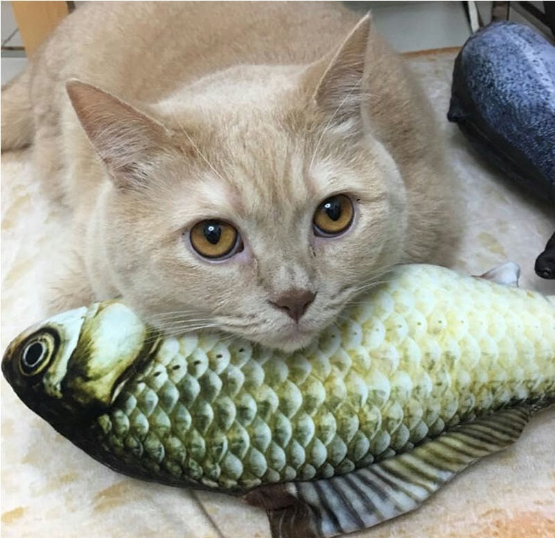 Cat Toy Interactive Fish Catnip Pet Toy Soft Plush 3D Fish Shape Gifts Toys Stuffed Pillow Doll Simulation Fish Playing Toy - Premium all pets - Just $29.70! Shop now at Animal Bargain
