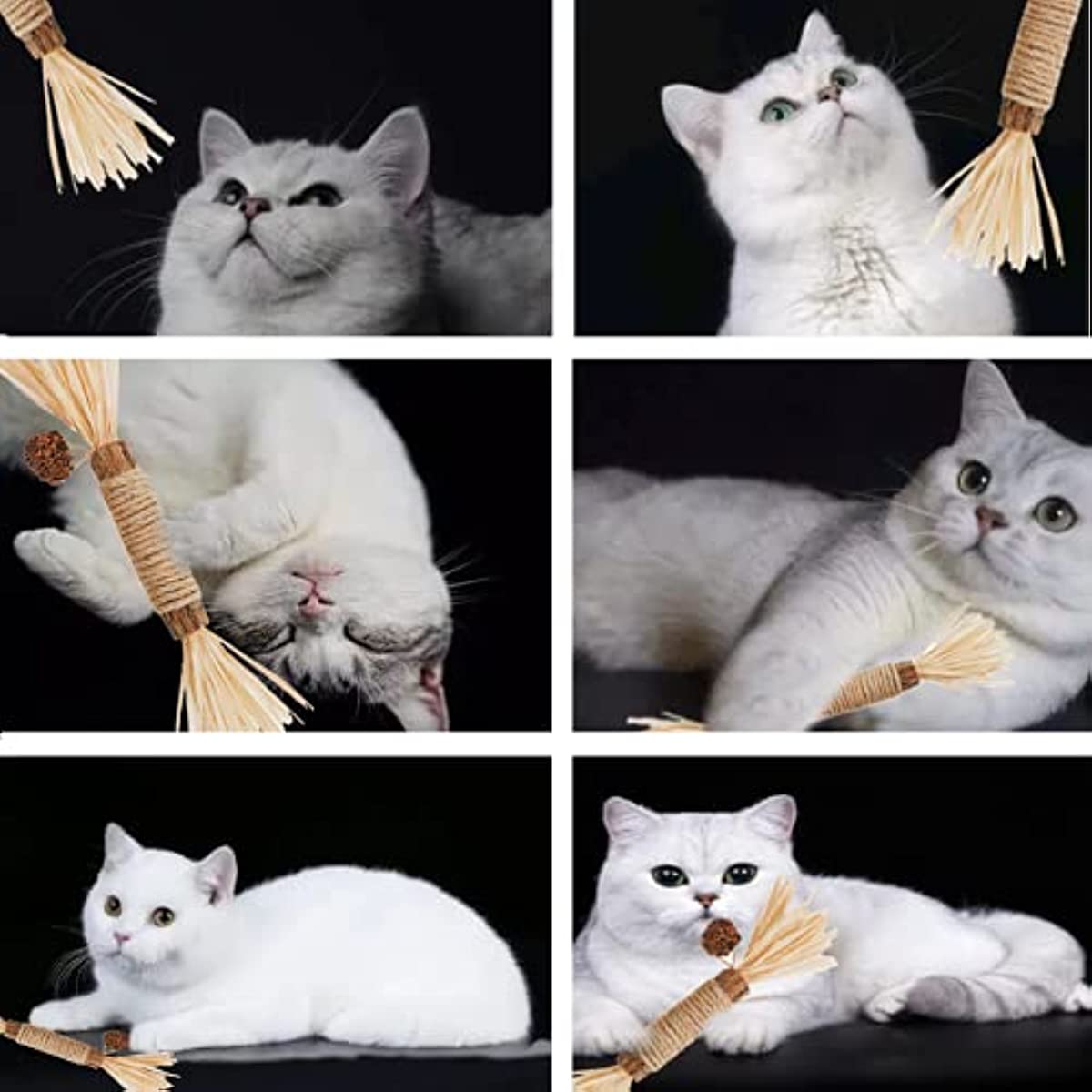 Cat Toys Silvervine Chew Stick,Kitten Treat Catnip Toy Kitty Natural Stuff with Catnip for Cleaning Teeth Indoor Dental - Premium Pet Toys - Just $27! Shop now at Animal Bargain