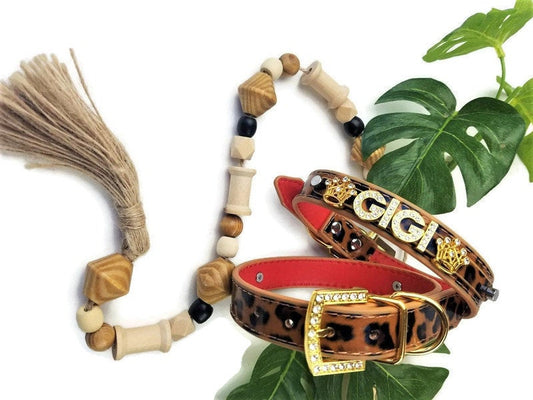 Collar | Queen of the Jungle - Premium all pets - Just $33.94! Shop now at Animal Bargain