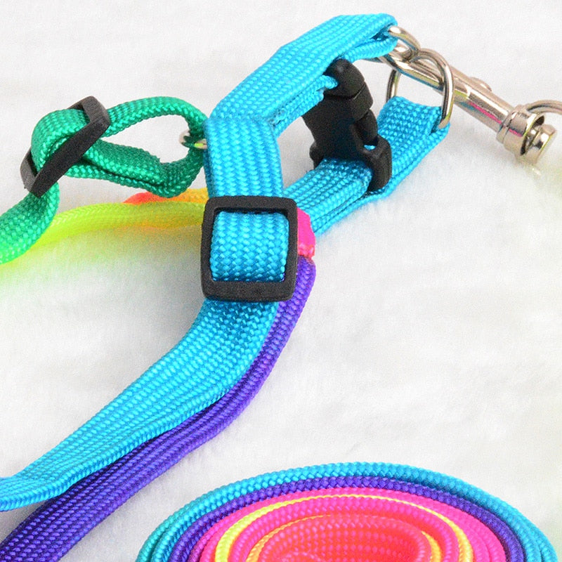 Colorful Rainbow Pet Dog Collar Harness Leash Soft Walking Harness Lead Colorful and Durable Traction Rope Nylon 120cm - Premium all pets - Just $27! Shop now at Animal Bargain