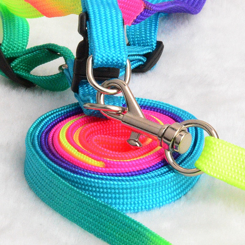 Colorful Rainbow Pet Dog Collar Harness Leash Soft Walking Harness Lead Colorful and Durable Traction Rope Nylon 120cm - Premium all pets - Just $27! Shop now at Animal Bargain