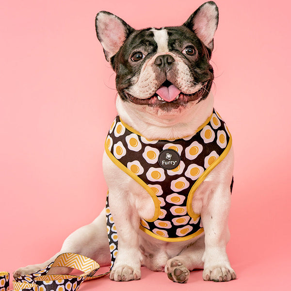 Reversible Dog Harness Sunny Side Up - Premium  - Just $41.46! Shop now at Animal Bargain