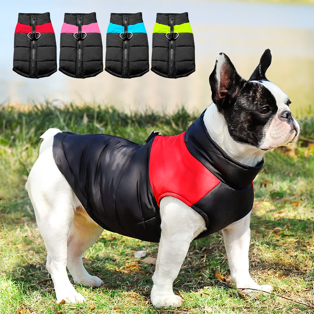 Dog Clothes For Small Medium Large Dogs Pug French Bulldog Winter Pet Puppy Chihuahua Coat Jacket Waterproof Roupa Cachorro Pet - Premium all pets - Just $33.75! Shop now at Animal Bargain