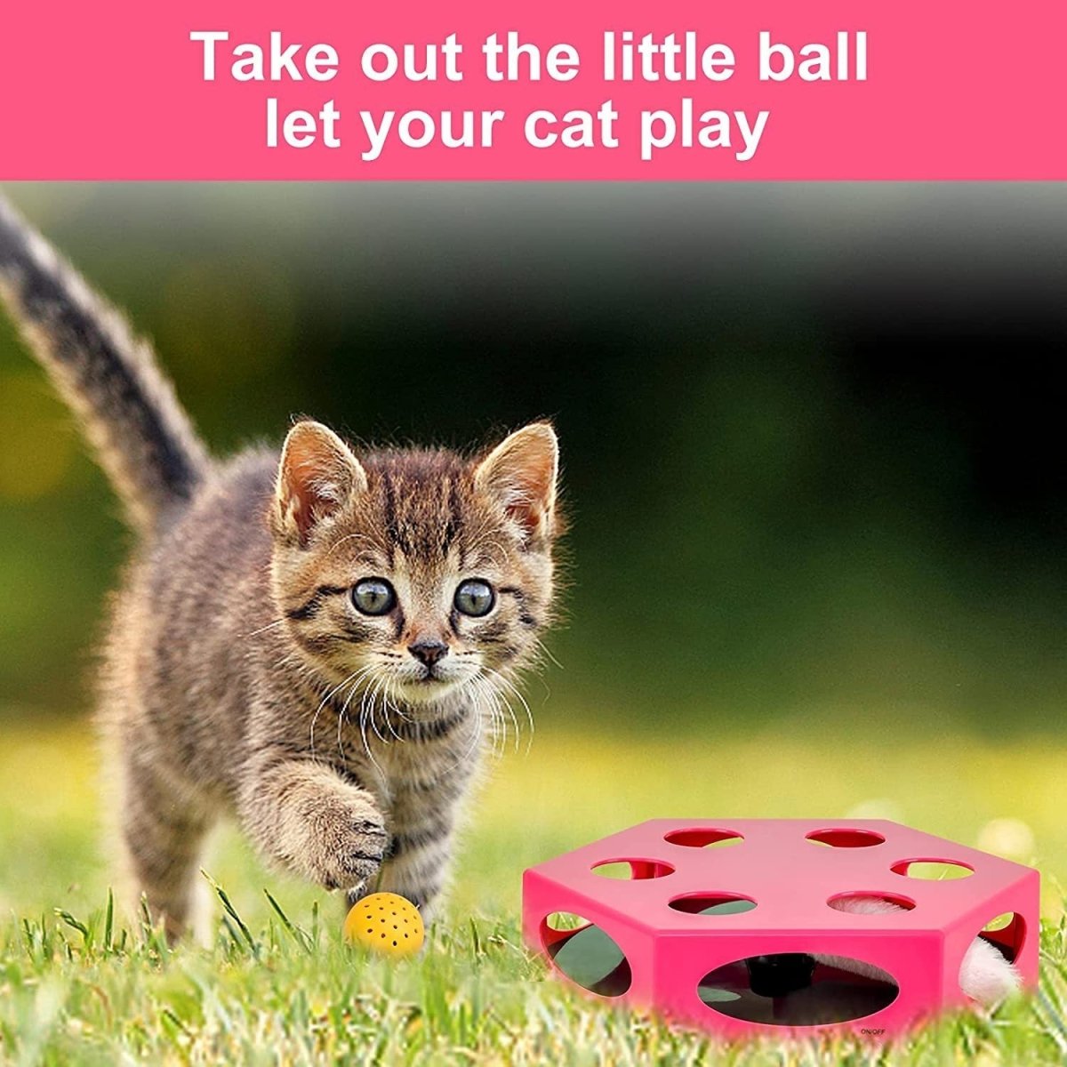 FluffyDream Interactive Cat Maze Box Toy, Electrical Cat Exercise Teaser Toy with Plush Tail & Ball Contains Bells, Fluffy Toys, Toys for Indoor Cats, Pets, Kitten, Kitty, Pink - Premium Beds - Just $91.37! Shop now at Animal Bargain