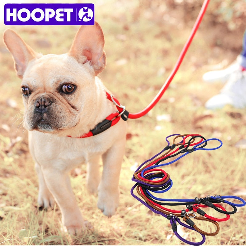 HOOPET Pet Products Golden Teddy Dog Traction Rope Chain Large Dog Collar P Dog Leash Comfortable Nylon Material 5Colors - Premium all pets - Just $28.35! Shop now at Animal Bargain