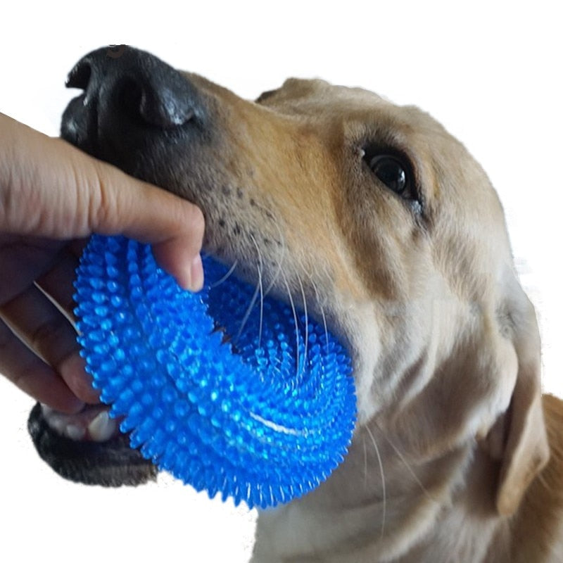 S/XL Squeak Chew Pet Toys For Golden Retriever Large Dogs Training Funny Chew Thorn Circle Ring Small Dog Toys Sound Interactive - Premium Pet Toys - Just $29.70! Shop now at Animal Bargain
