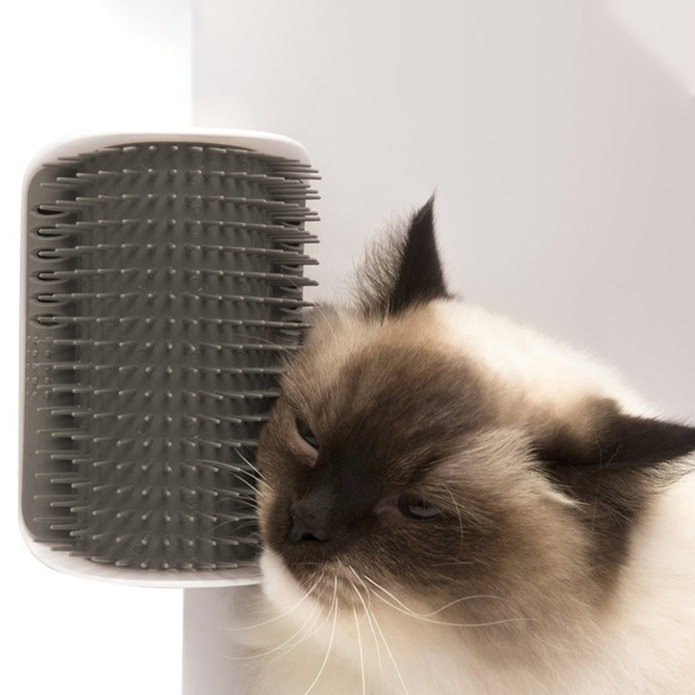 Cat Massage Brush Pet Cat Brush Corner Self Groomer Comb With Catnip Cat Rubs Cleaning Self Tickling Comb  Cat Supplies Pet Comb - Premium Pet Toys - Just $40.50! Shop now at Animal Bargain
