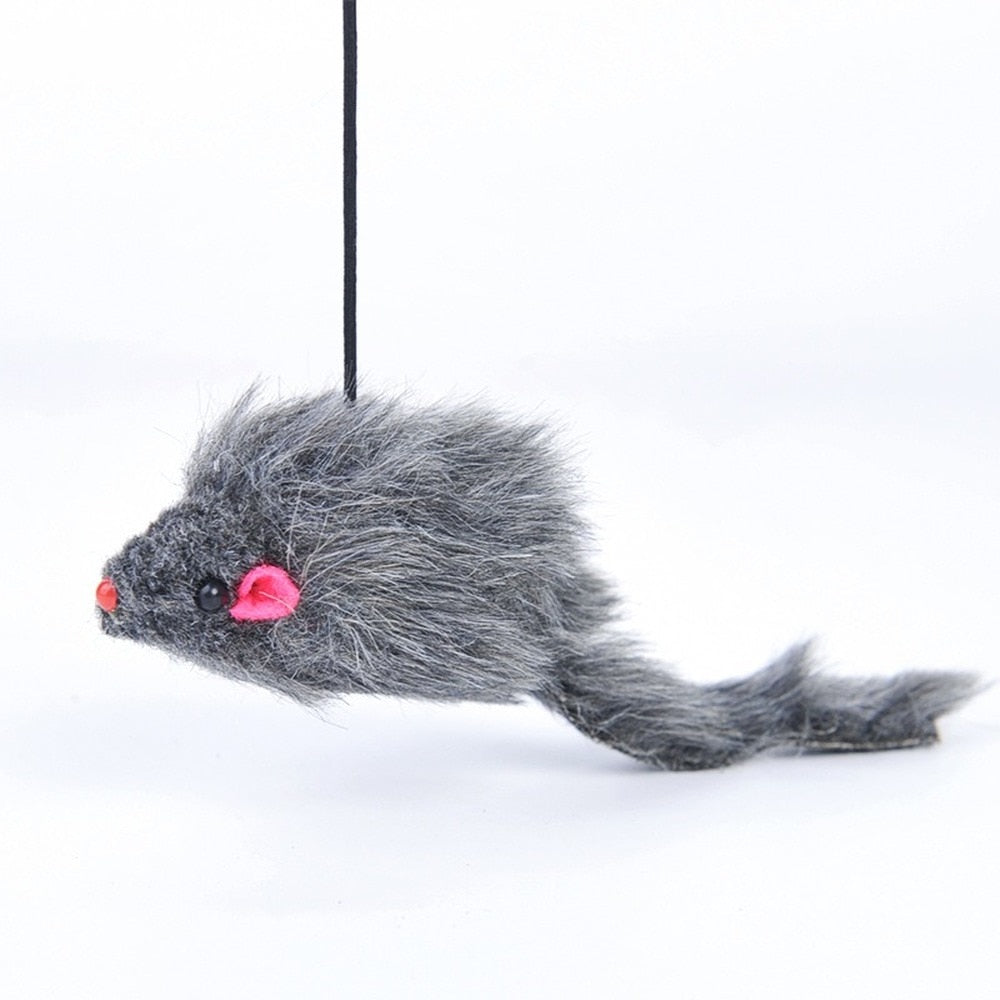 Interactive Cat Toy Hanging Door Retractable Cat Scratch Rope Mouse Long Stick Kitten Feather Toys for Indoor Cats Play Exercise - Premium Pet Toys - Just $25.65! Shop now at Animal Bargain