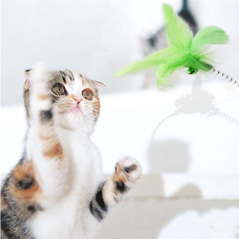 Kapmore 1pc Cat Toy Funny Creative Interactive Fake Feather Bell Decor Cat Kitten Interactive Toy Pet Supplies Cat Favors - Premium Pet Toys - Just $27! Shop now at Animal Bargain