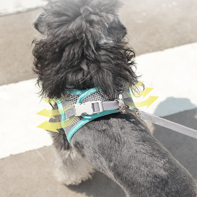 Kimpets Dog Harness Clothes Vest Chest Cat Collars Rope Small Dogs Reflective Breathable Adjustable Outdoor Walking Pet Supplies - Premium all pets - Just $25.65! Shop now at Animal Bargain
