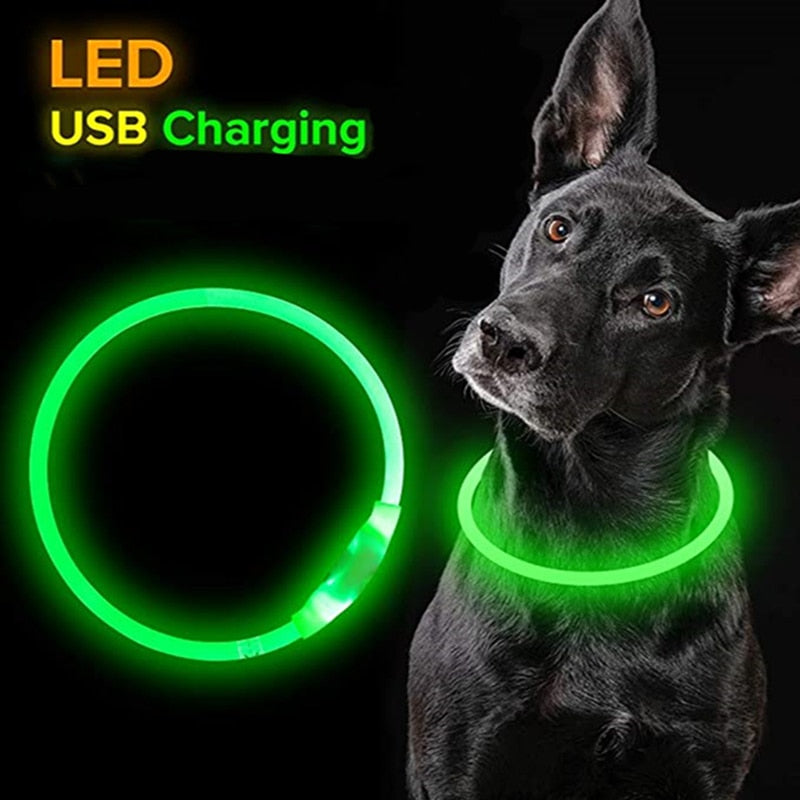 Led Light Dog Collar Detachable Glowing USB Charging Luminous Leash for Big Cat Collar Small Bright Labrador  Pets Dogs Products - Premium all pets - Just $33.75! Shop now at Animal Bargain