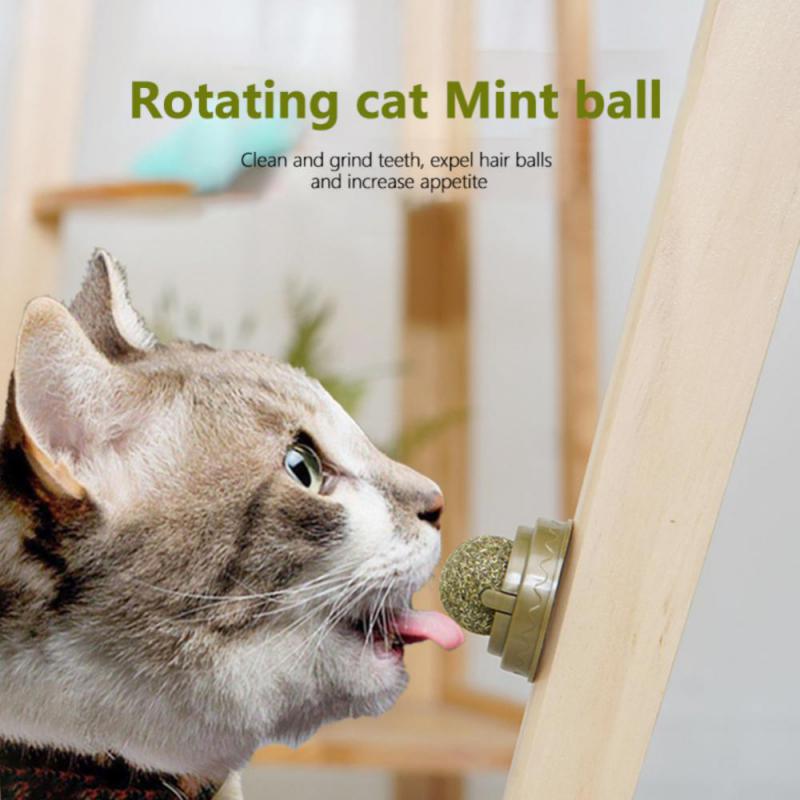 Natural Catnip Cat Catnip Toys Ball Cat Toys Candy Licking Snacks Catnip Snack Nutrition Energy Ball Treats Kitten Toy Pet Stuff - Premium all pets - Just $35.10! Shop now at Animal Bargain
