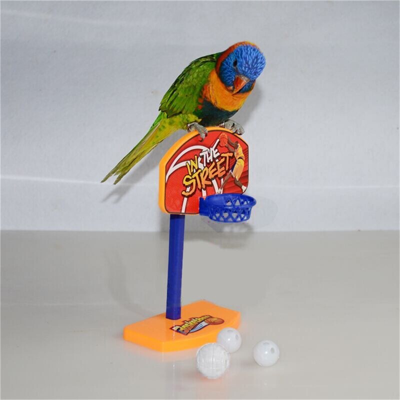 New 3pcs Balls Pet Birds Chew Toy Parakeet Bell Balls Parrot Toys Birdie Basketball Hoop Props Pet Parrot Pet Products Supplies - Premium Pet Toys - Just $28.35! Shop now at Animal Bargain
