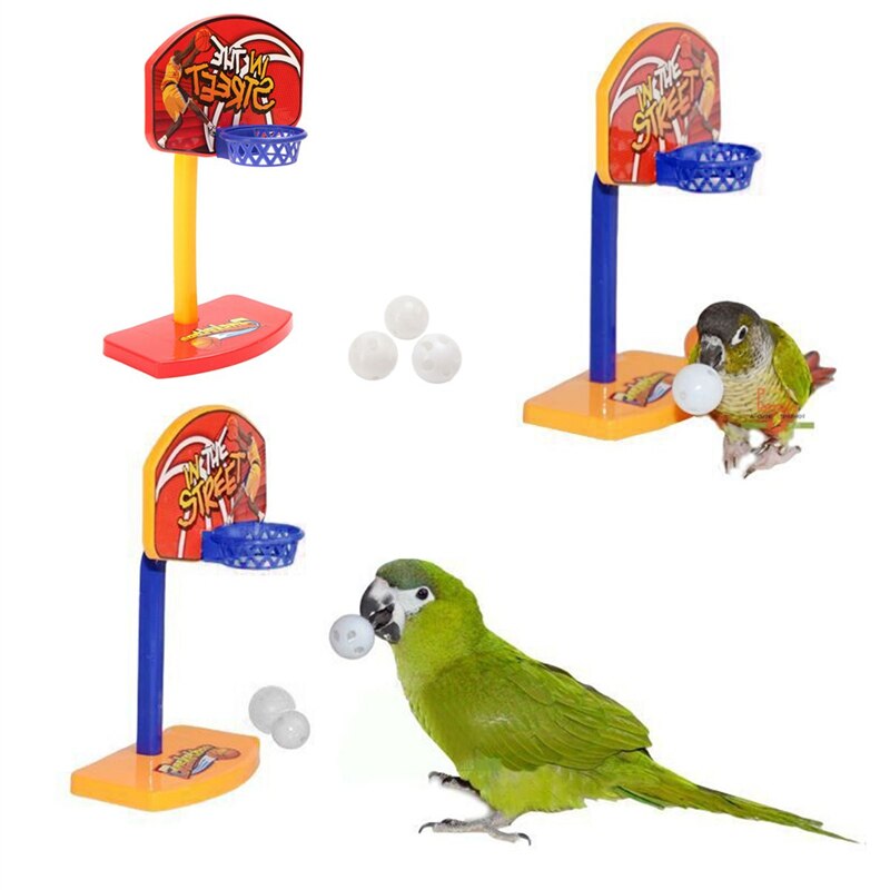 New 3pcs Balls Pet Birds Chew Toy Parakeet Bell Balls Parrot Toys Birdie Basketball Hoop Props Pet Parrot Pet Products Supplies - Premium Pet Toys - Just $28.35! Shop now at Animal Bargain