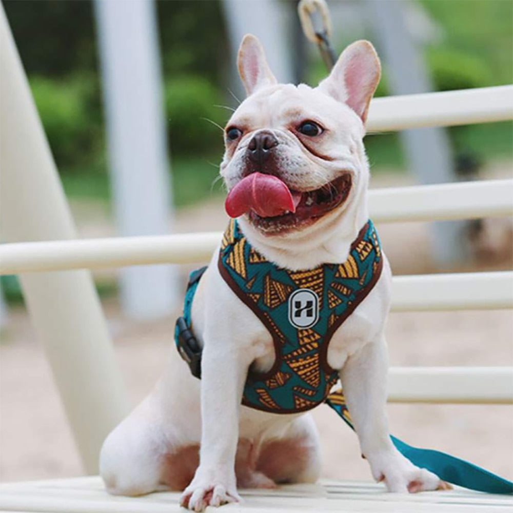 Nylon Dog Cat Harness Printed French Bulldog Harness Puppy Small Dogs Harnesses Vest for Chihuahua Yorkshire Walking Training - Premium Collars + Leashes - Just $28.35! Shop now at Animal Bargain