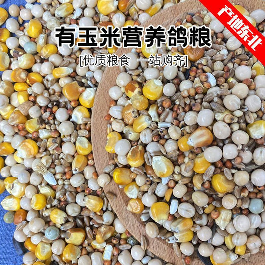 Pigeon Food Pigeons Have Corn No Corn Food Feed Bird Pigeon Ornamental General Young Factory A Wholesale - Premium  - Just $15! Shop now at Animal Bargain