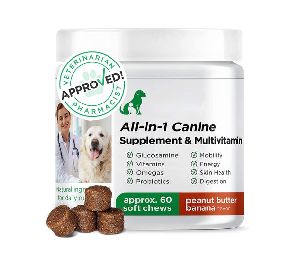 Cross-border Exclusive Dog Supplements Dog Multivitamin Dog Supplements Soft Chew Cross-border Wholesale - Premium  - Just $24! Shop now at Animal Bargain