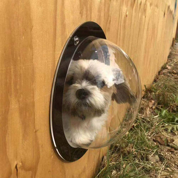 Foreign Trade Cross-border Cat And Dog Fence Window Acrylic Dome Transparent Semi-dome Pet Window Bubble Window Plastic Window - Premium  - Just $22.95! Shop now at Animal Bargain