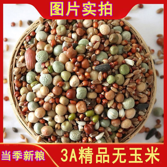 20 Pack No Corn Boutique Pigeon Food Pigeon Feed Bird Food Pigeon Ornamental Pigeon Meat Pigeon Food Pigeon Food - Premium  - Just $65! Shop now at Animal Bargain