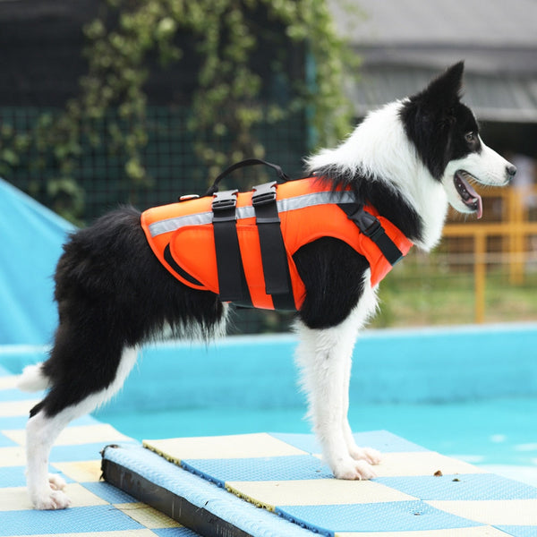 Pet Dog Life Jacket Safety Clothes Life Vest Swimming Clothes Swimwear for small big dog Husky french bulldog dog accessories - Premium all pets - Just $25.65! Shop now at Animal Bargain