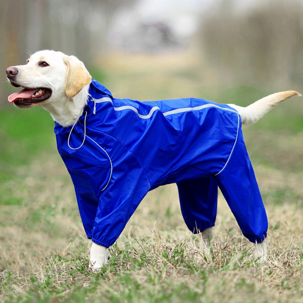 Pet Dog Raincoat Reflective Waterproof Zipper Clothes High Neck Hooded Jumpsuit For Small Big Dogs Overalls Rain Cloak Labrador - Premium all pets - Just $29.70! Shop now at Animal Bargain