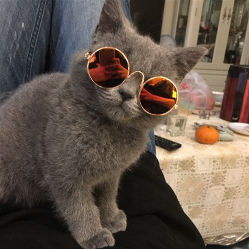 Pet Sunglasses Eyewear Pet Glasses Photo Props Goods Cosplay Accessories Cute Glasses for Animal Pet Cat Puppy Dog Supplies Item - Premium all pets - Just $25.65! Shop now at Animal Bargain