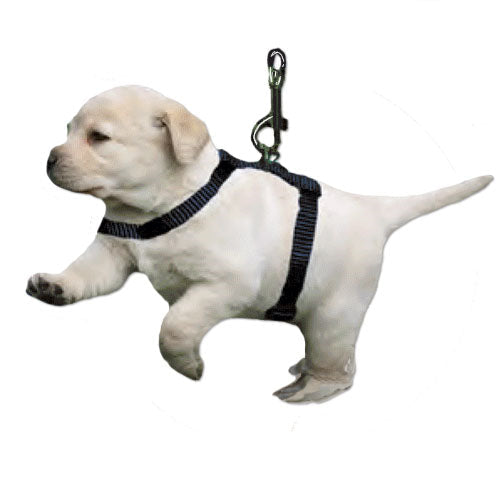 Small Animal Harness - Guinea Pig, Puppies, Kittens (SH240) - Premium  - Just $12.22! Shop now at Animal Bargain