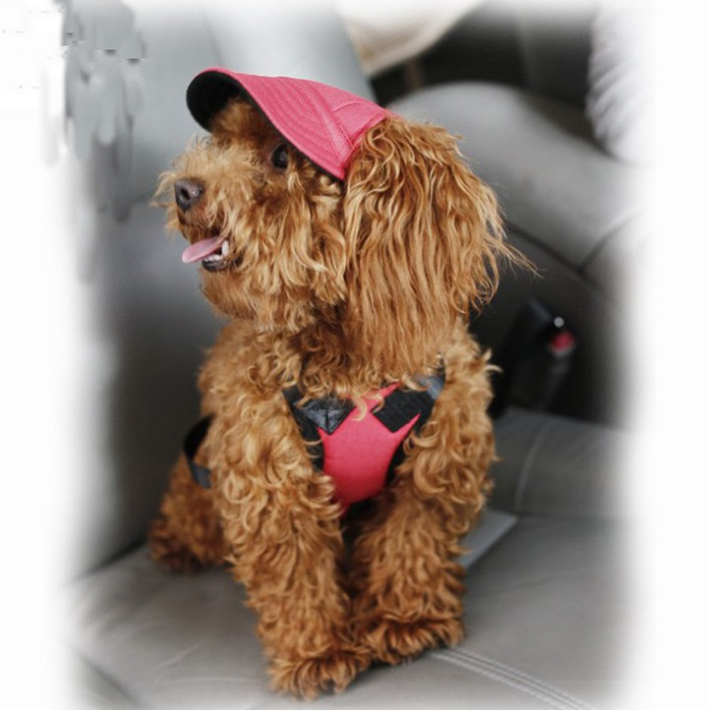 cute Pet fashion solid color Dog Hat Baseball Cap Windproof Travel Sports Sun Hats for Puppy Large Pet Dog Outdoor Accessories - Premium all pets - Just $33.75! Shop now at Animal Bargain